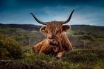 Viajar a Escocia.