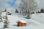 Viajar a los Alpes franceses