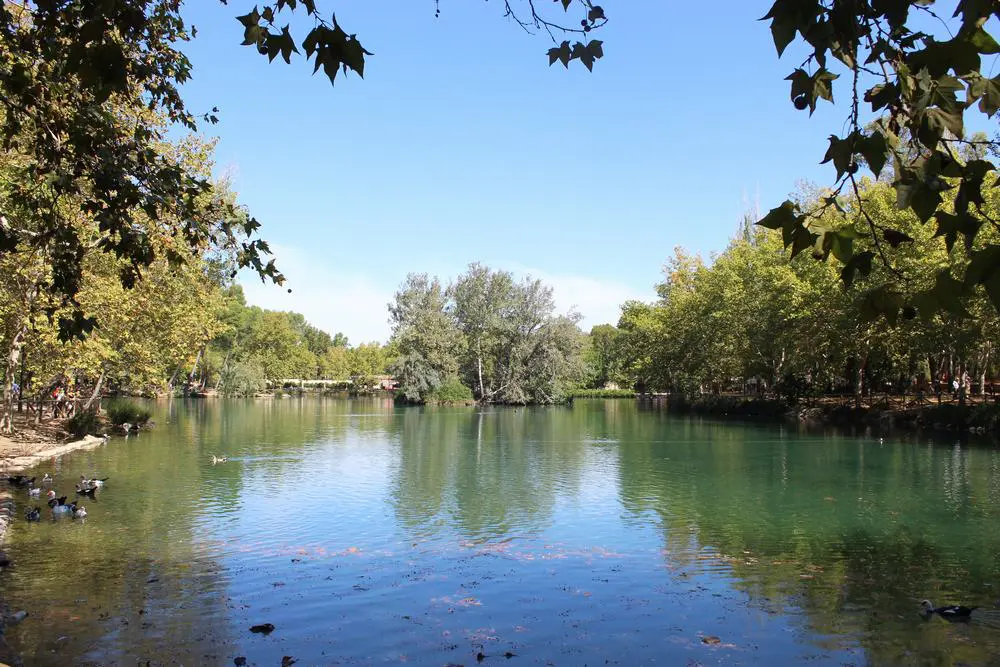 Qué ver en el Lago de Anna. Qué ver en el Lago de Anna.