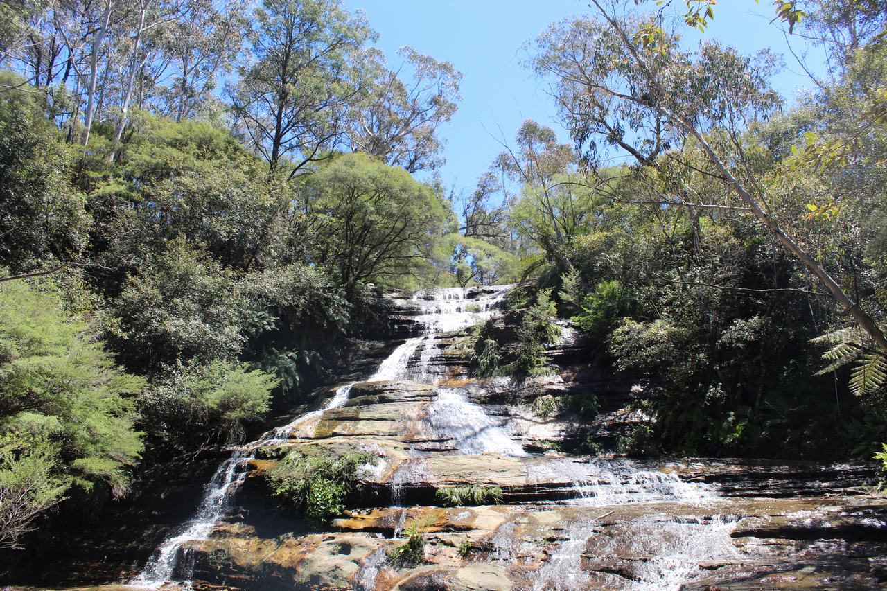 merece la pena visitar las montañas azules de Australia merece la pena visitar las montañas azules de Australia