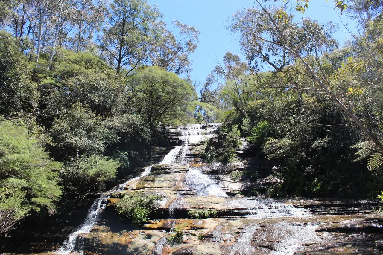 merece la pena visitar las montañas azules de Australia merece la pena visitar las montañas azules de Australia
