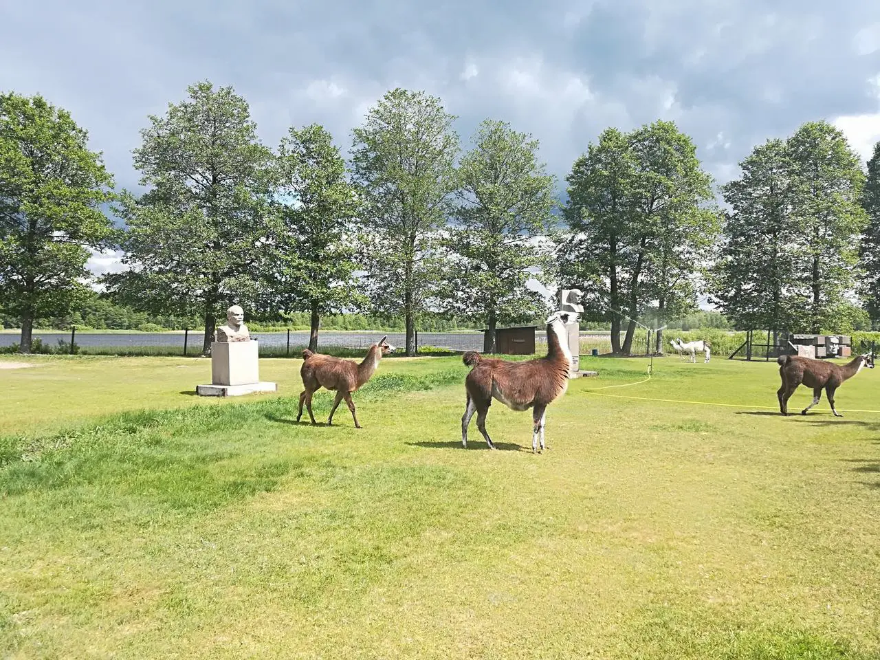 Visitar Grutas Park en Lituania. Animales en Stalin World. Visitar Grutas Park en Lituania. Animales en Stalin World.