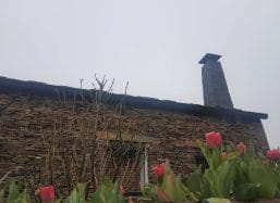 Mejor ruta por los pueblos negros de Guadalajara.