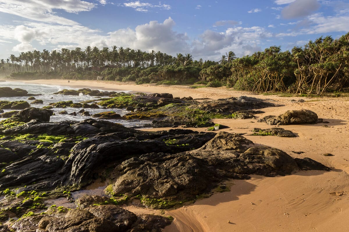 playa sur sri lanka