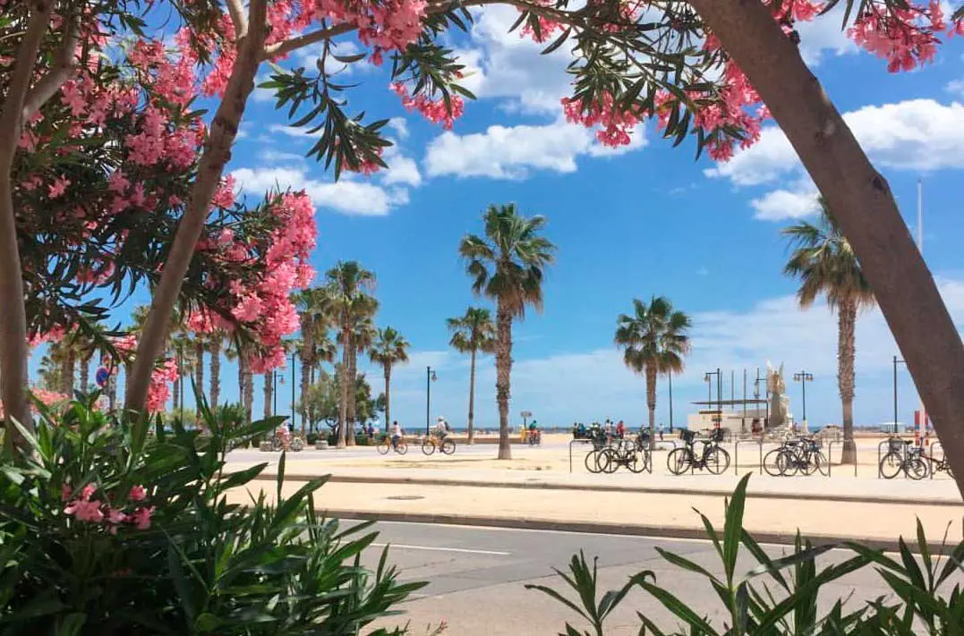 Visitar el barrio del Cabanyal Valencia