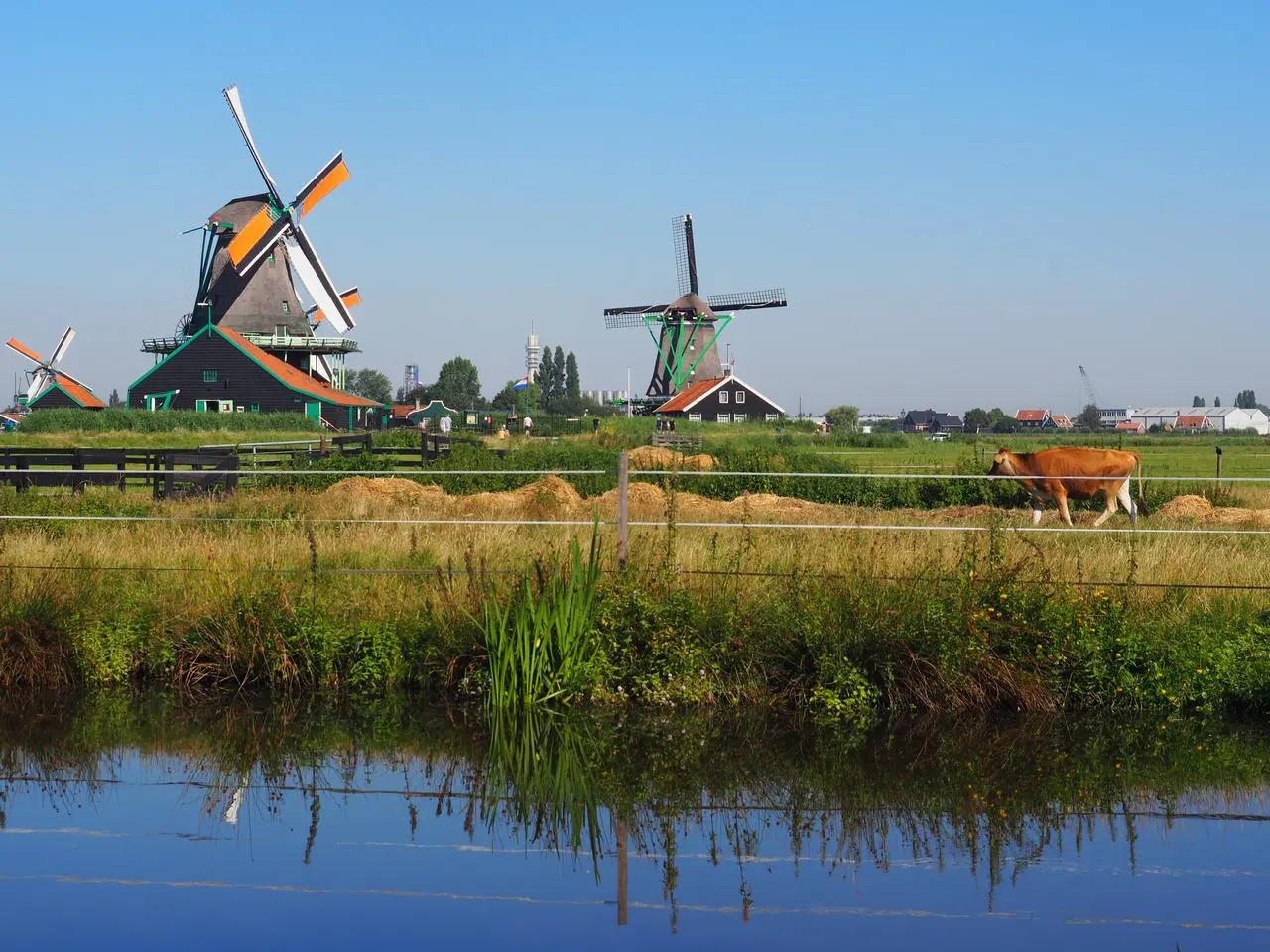 Visitar Volendam, Edam y Marken desde Amsterdam. (Incluye Zaanse Schans).
