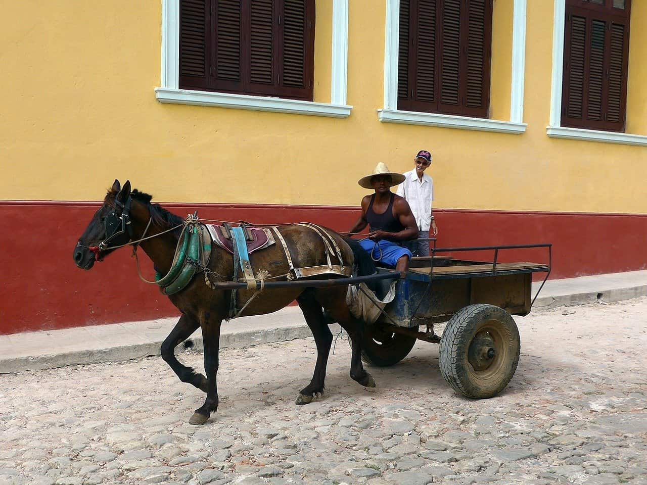 Tours gratuitos en Trinidad