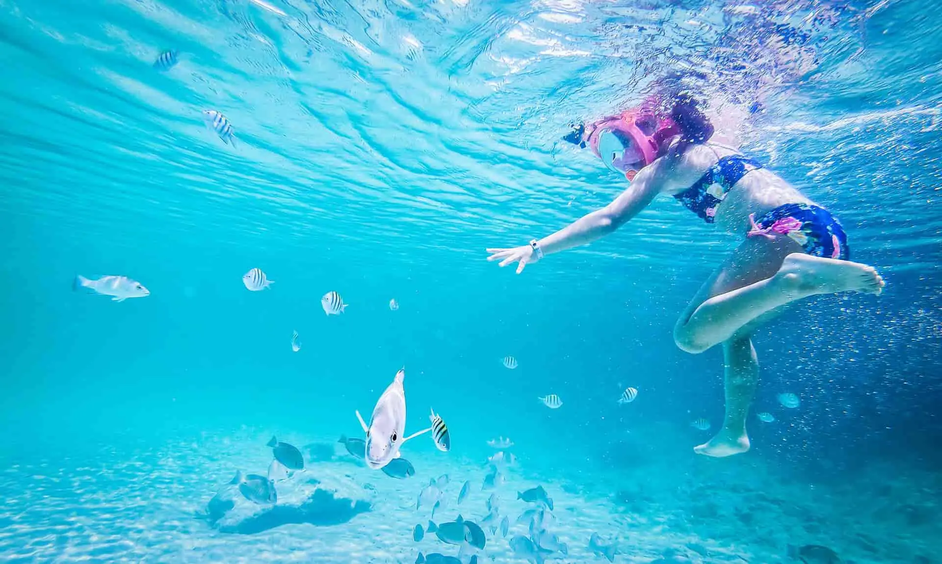 Snorkel - Buceo Cayo Santa María. Actividades que hacer en Cuba
