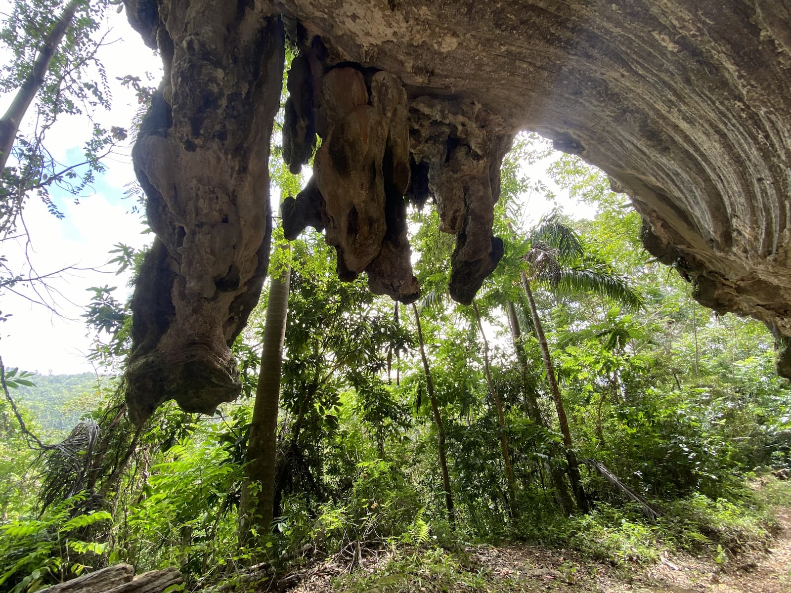 Gran parque natural Topes de Collantes