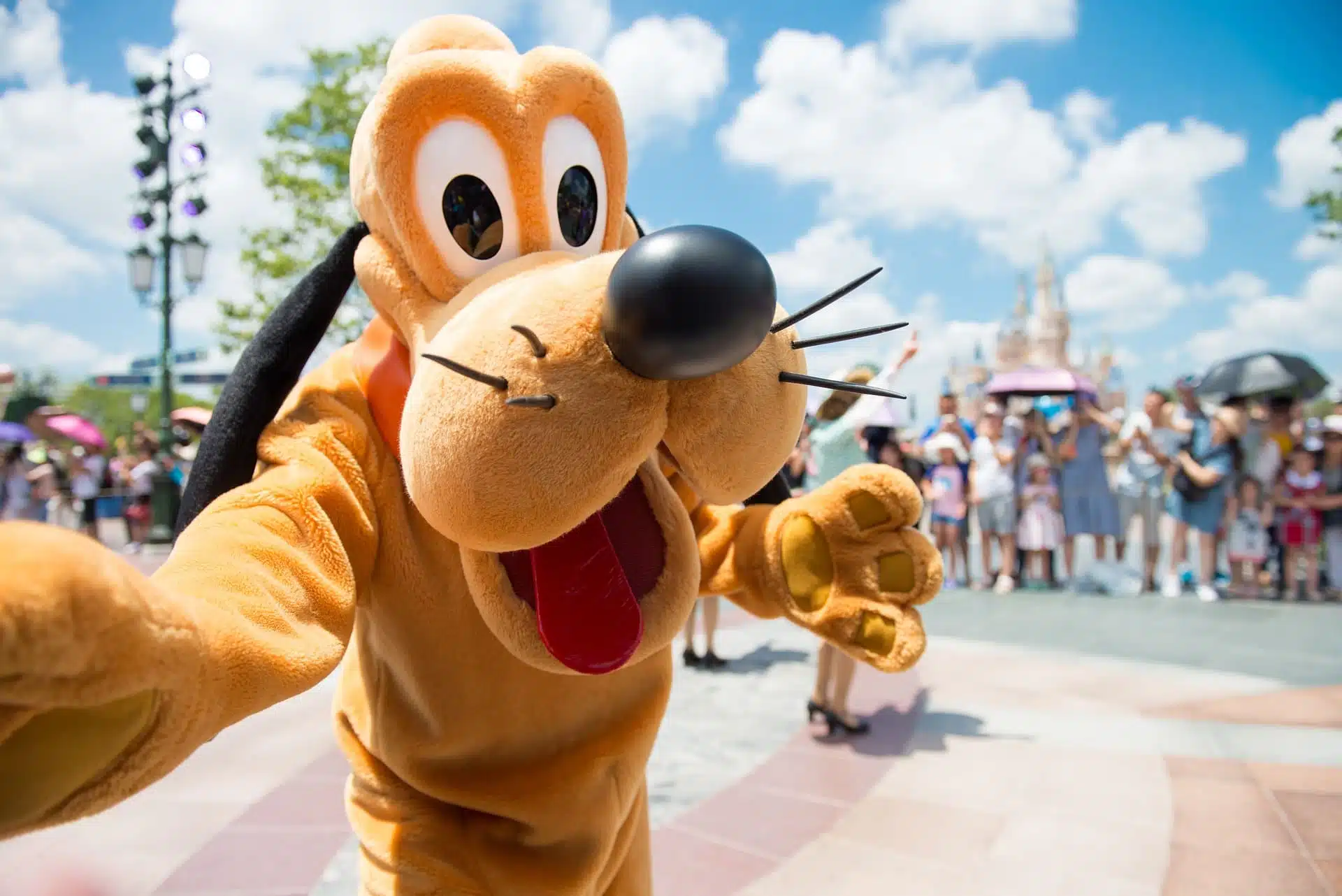 Una experiencia única por Disneyland
