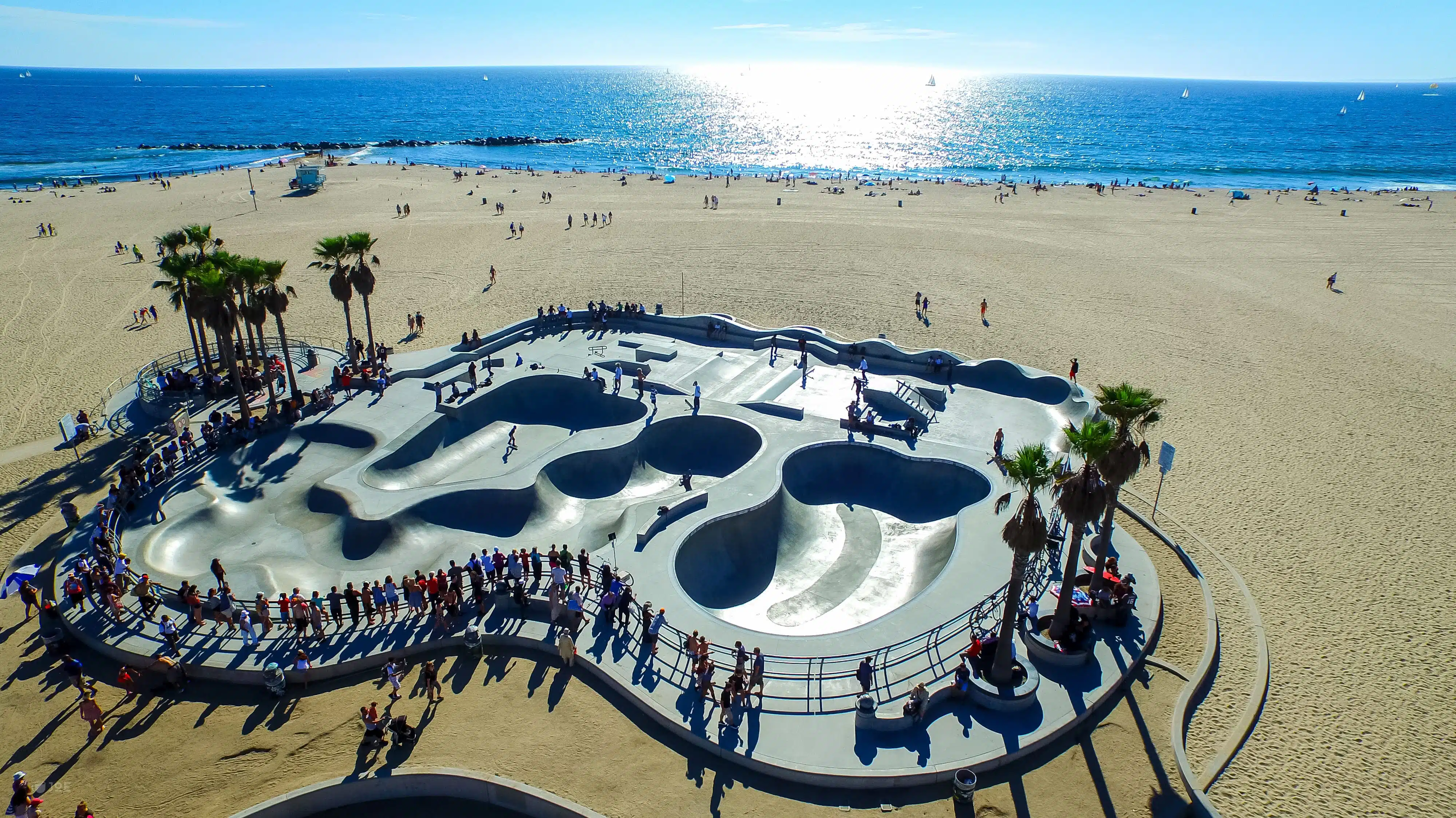 Visita las famosas playa de Venice Beach