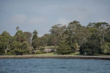 Jardín botánico de sidney