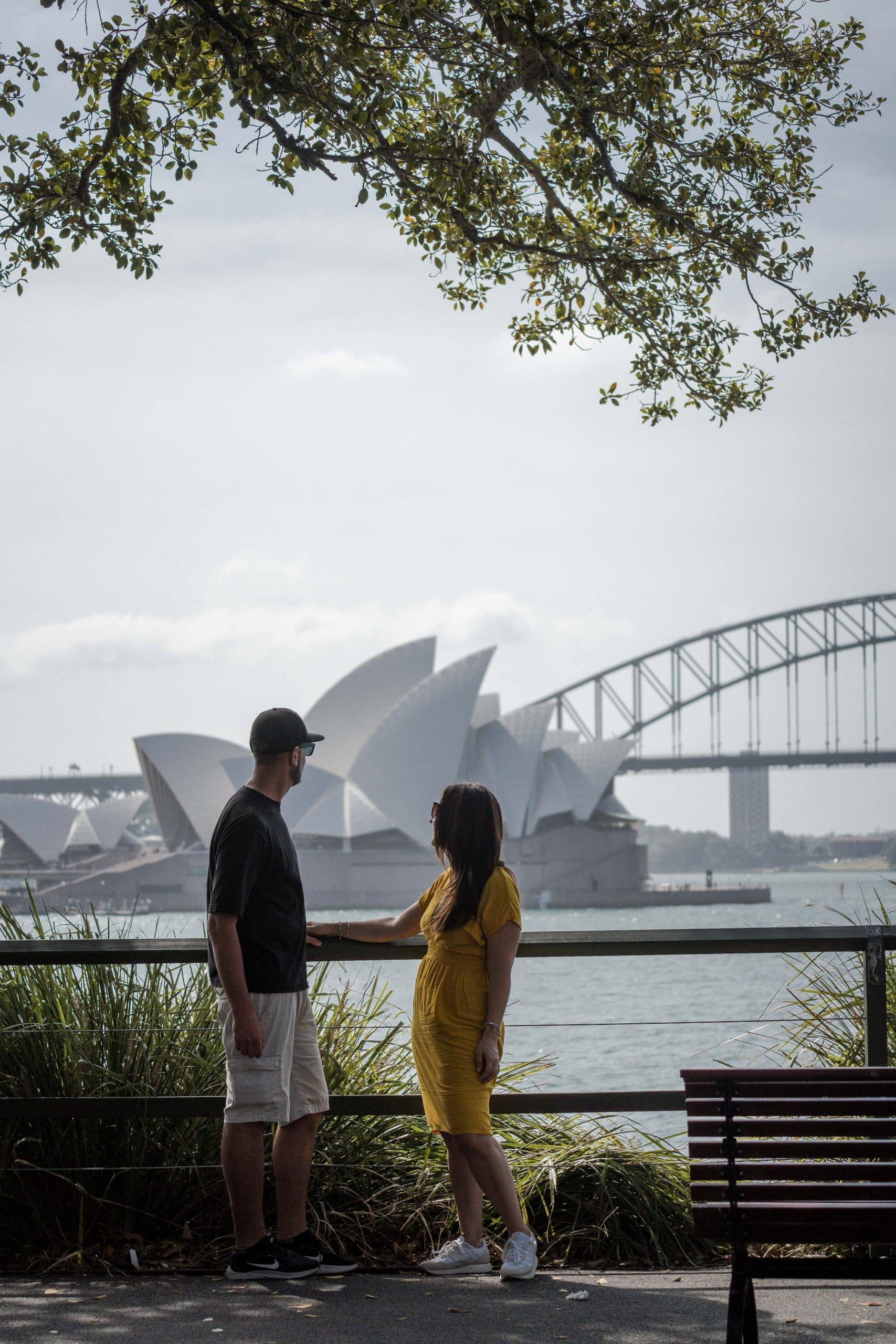 pareja observando las vistas en macquaire chair en el jardin botánico de sydney
