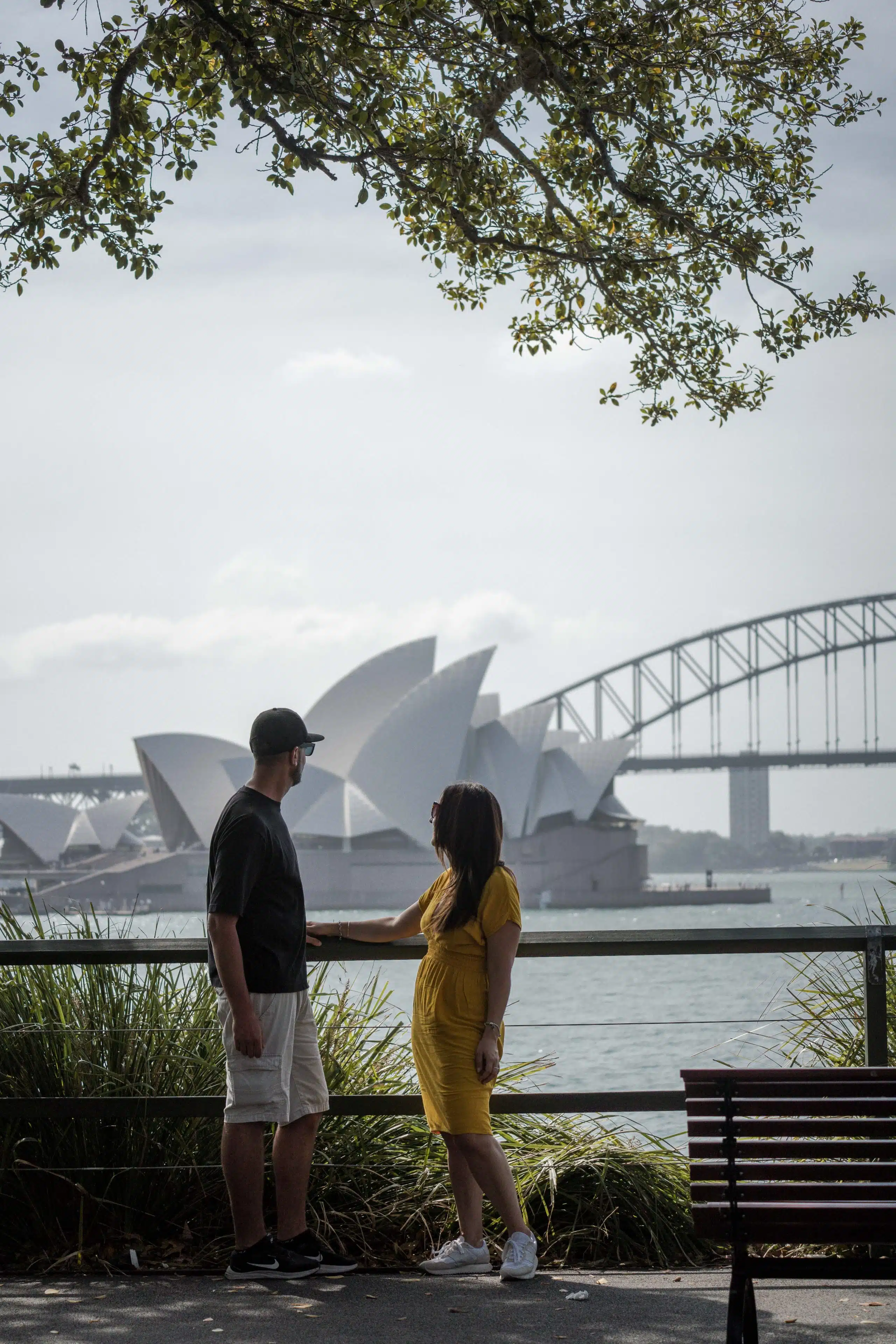 pareja observando las vistas en macquaire chair en el jardin botánico de sydney