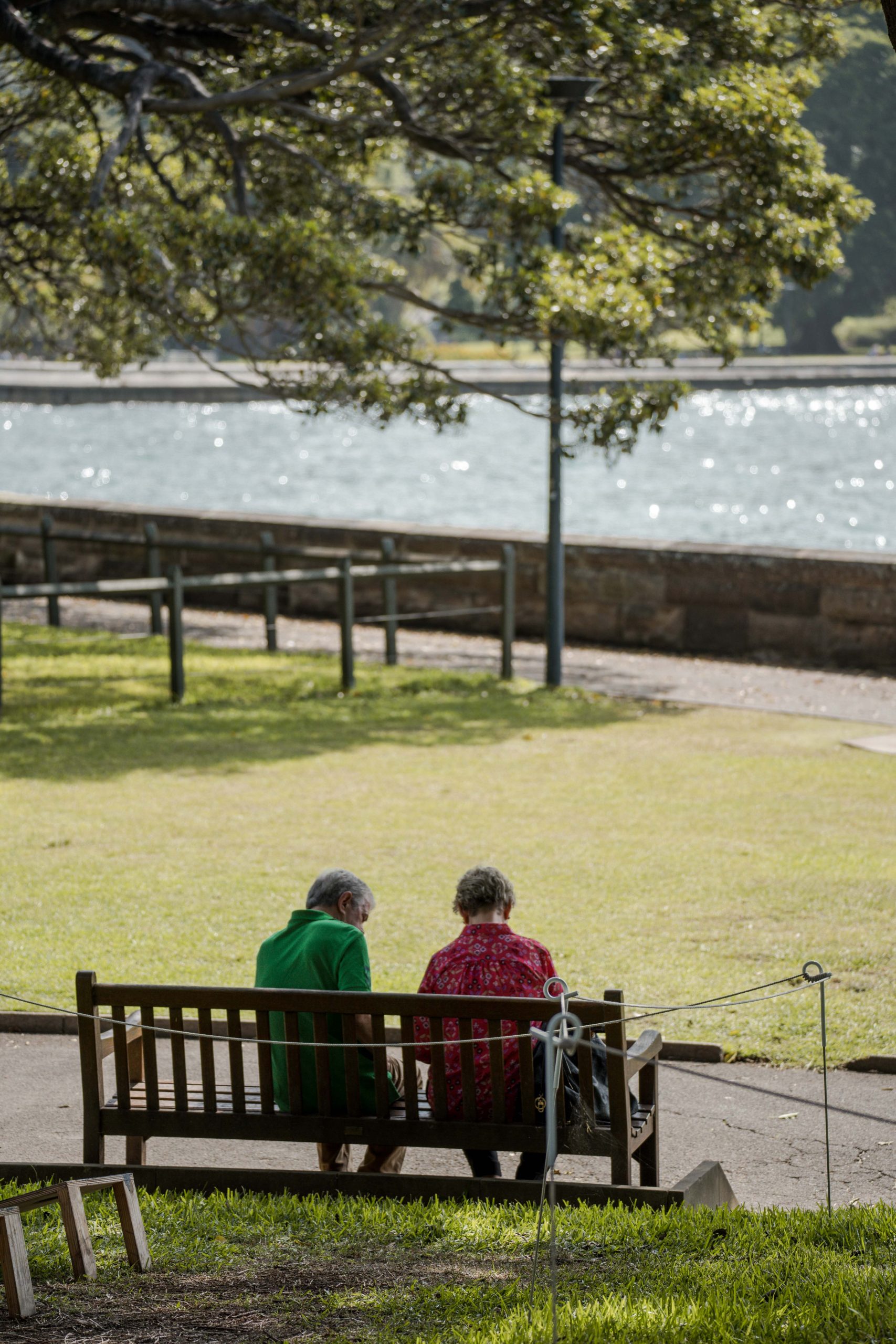 pareja en el jardín botánico de sidney