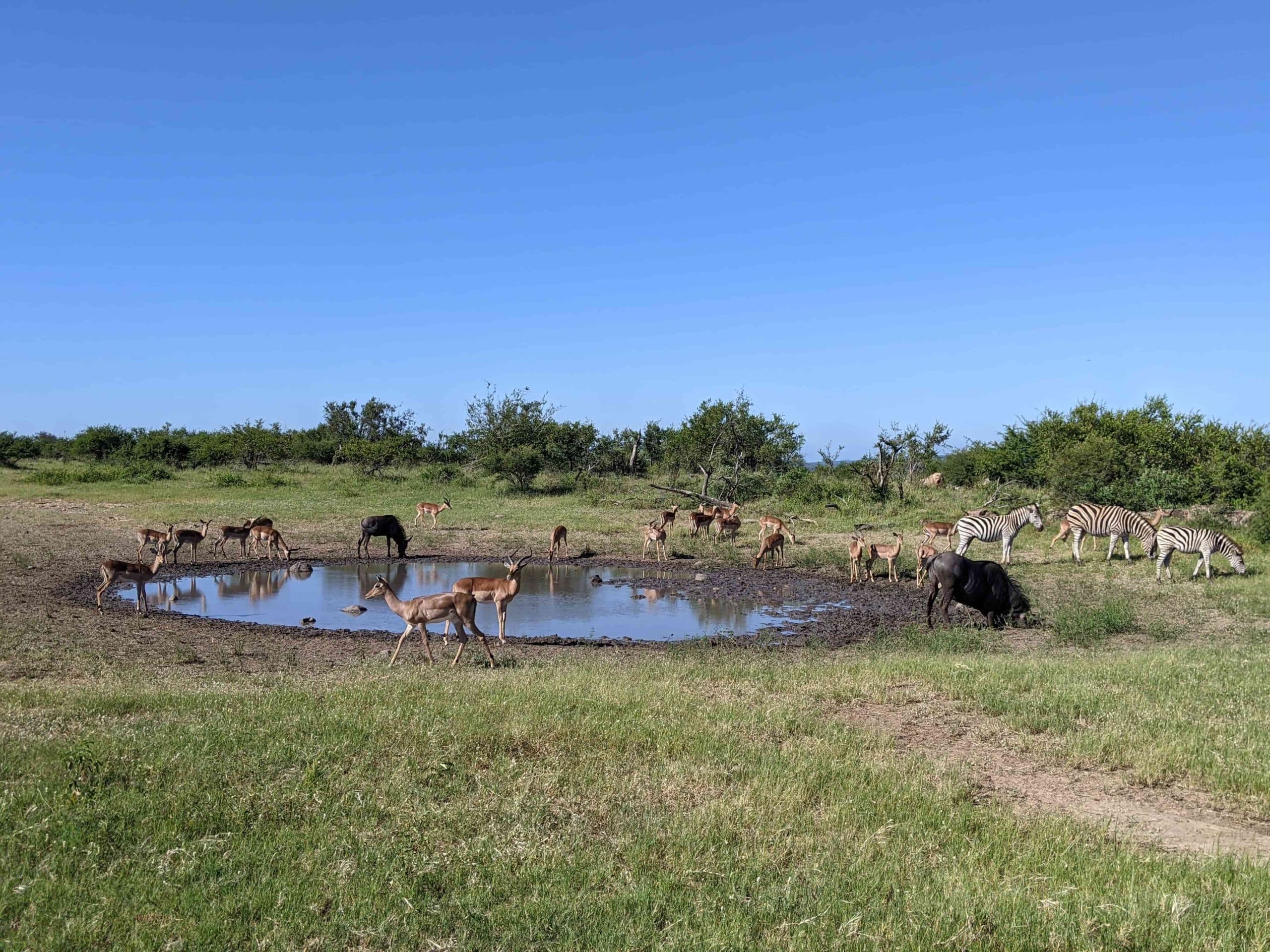 Cuanto cuesta una esim en Sudáfrica