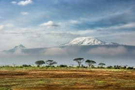 Safari Kenia