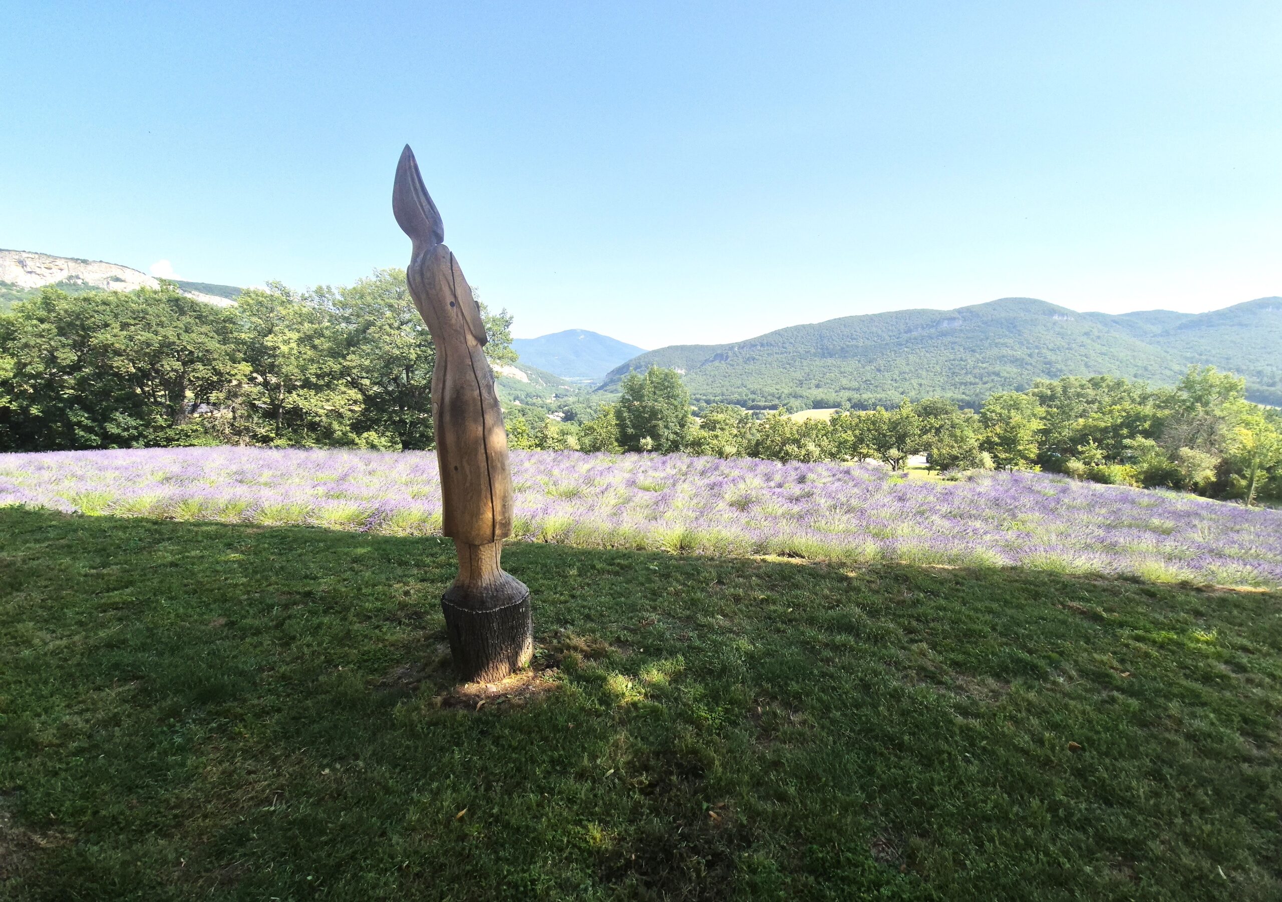 La Provenza y la lavanda